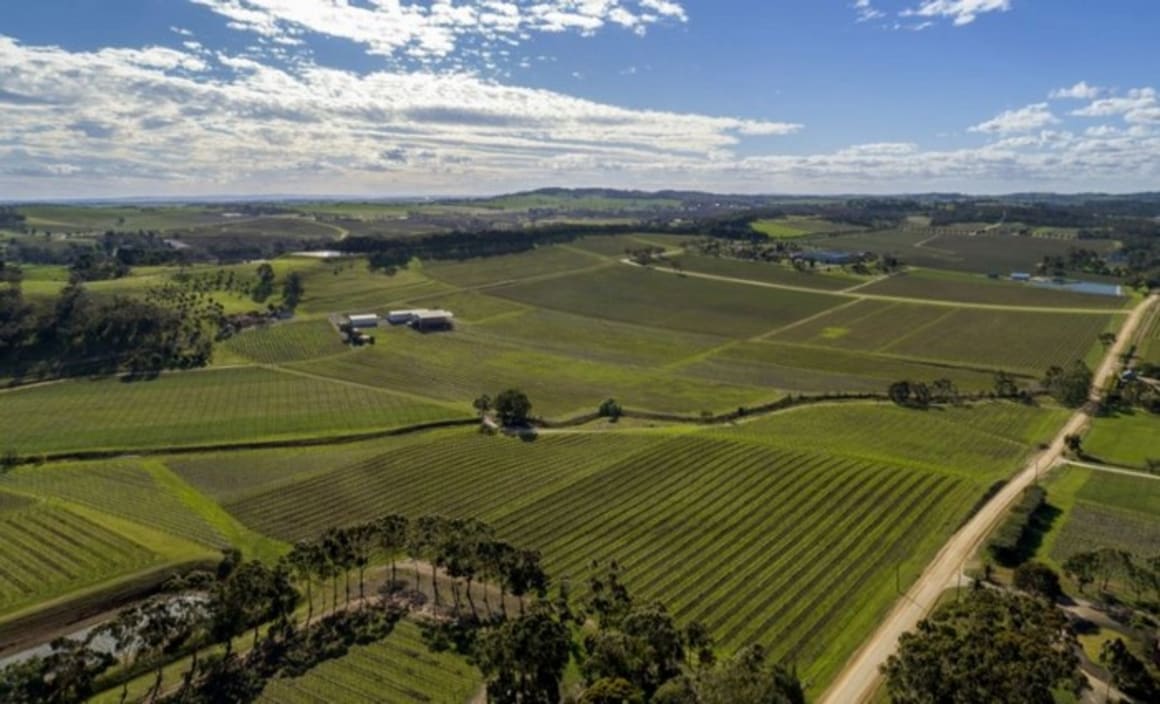 Colliers International to sell Barossa Valley viticulture...